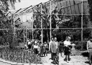 Mainau, Insel Mainau: Pressefahrt mit der DB, Tulpenblüte auf der Mainau; Tropenhalle