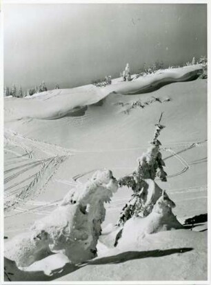 Winterimpression im Schwarzwald