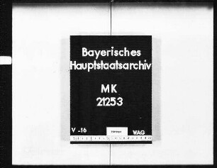 Günzburg. Das lateinische Schulwesen.