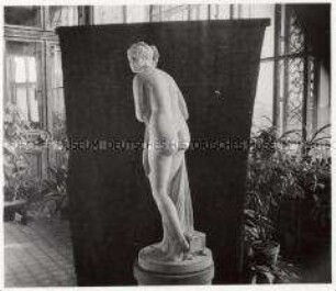 Wien, Belvedere, Bildhauer Antonio Canova, Figur "Venus"