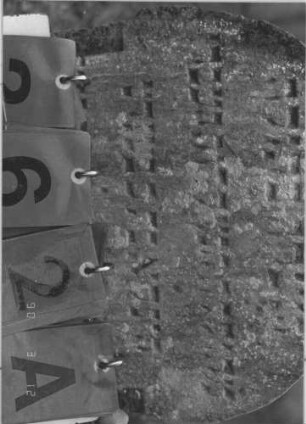 Grabstein 262 (Index: 99786831) Maße HxBxT: 62x40x5 cm Besonderheit: kulturhistorisch wertvoll / hist.-wiss. Gründe (Gemeindestellung): Grabstein 262A