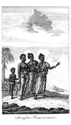 Neue Reise nach Guinea und den Caribäischen Inseln in Amerika, in den Jahren 1783 bis 1787