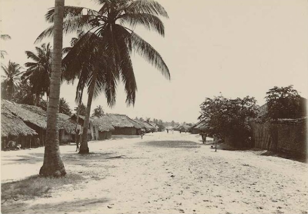 Street with plamen and thatched houses