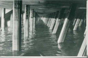 Columbuskaje, 1950-1952