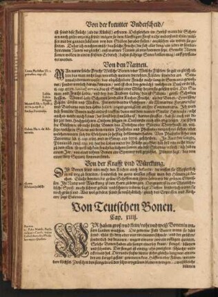 Von Teutschen Bonen, Cap. XIIII