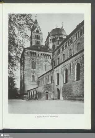 Speyer, Dom vom Nordwesten