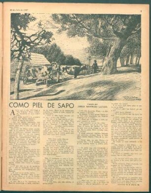 Cómo piel de sapo : Cuento por Jorge Montero Lacasa