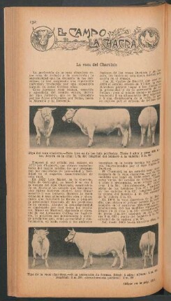 La vaca del Charolais : El campo y la chacra