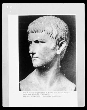 Büste des Gaius Caesar, Sohn des Agrippa