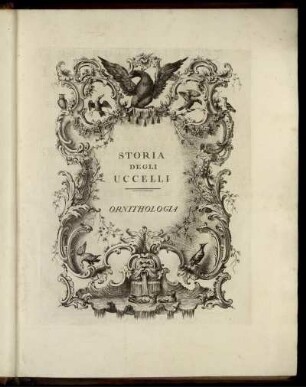Storia Degli Uccelli