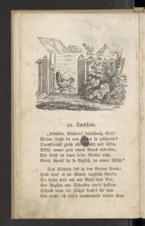 46. Küchlein.
