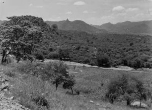 Hügellandschaft : Hügelige Savannenlandschaft in Eritrea