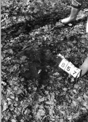 Grabstein 857 (Index: 99902298) Material: Sandstein Zustand: Stein umgestürzt Besonderheit: keine Maßangaben: Grabstein 857