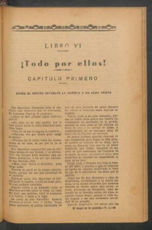Libro VI - ¡Todo por ellos!