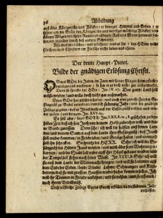 Der dritte Haupt-Punct. Bilde der gnädigen Erlösung Christi
