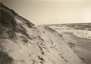 Kurische Nehrung. Ostseestrand zwischen Rossitten (heute Rybatschij / Russland) und Nidden (heute Nida / Litauen). Blick längs des Strandes nach Südwesten. Links Wanderdüne