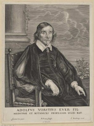Bildnis des Adolphvs Vorstivs