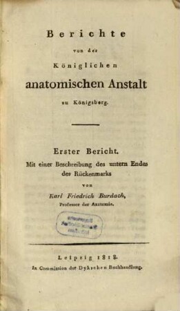Beschreibung des untern Endes des Rückenmarks