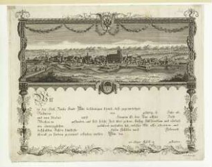 Ulm von Norden. Auf einem Gesellenbrief 1805