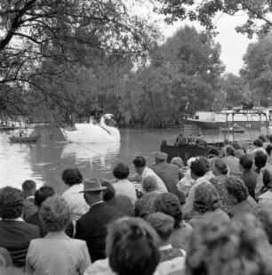 Fischerfest in Neuburg.