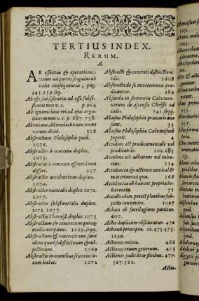 Tertius Index. Rerum.