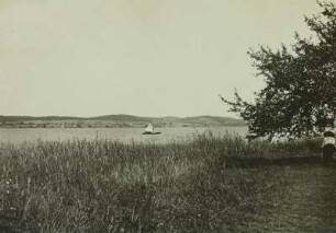 Nordufer des Bodensees : Bodensee, Nordufer. Blick von der Insel Reichenau auf das Nordufer des Untersees bei Allensbach