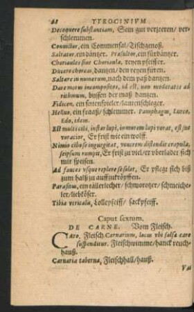 Caput sextum. De Carne.