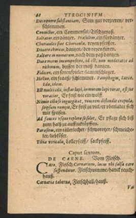 Caput sextum. De Carne.