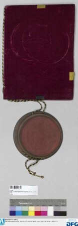 Kaiser Karl VI. bestätigt der Stadt Nürnberg den ihr von Kaiser Joseph I. am 29. Dezember 1708 erteilten (wörtlich eingeschalteten) Exspektanzbrief auf die Gräflich von Zeil'schen Reichslehen um Nürnberg.
