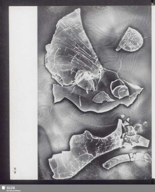 diluviales Aquarium (Fassung II)