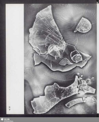 diluviales Aquarium (Fassung II)