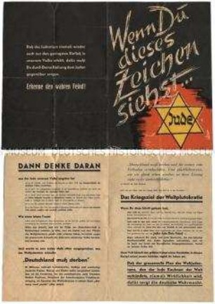 Antisemitische Propagandaschrift mit Werbung für die Broschüre "Das Kriegsziel der Weltplutokratie"