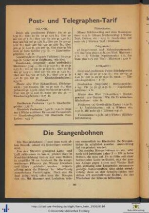 Die Stangenbohnen.