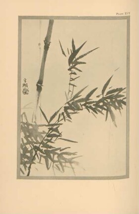 Plate XVI