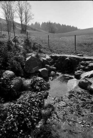 Der Donauursprung (Bregquelle) an der Martinskapelle bei Furtwangen