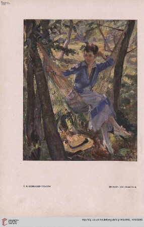 Heft 15/16 (Mai 1919)