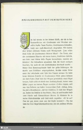 Das Blumenbild Mit Dem Roten Herz