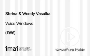 Voice Windows