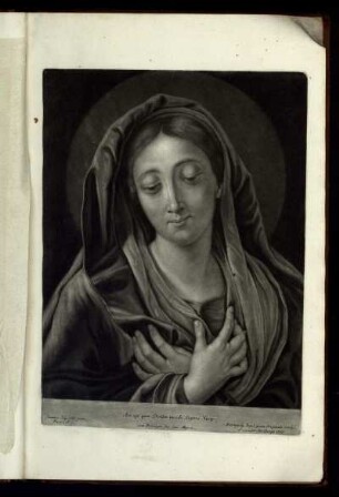 2. Mater Salvatoris
