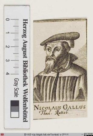 Bildnis Nicolaus Gallus (eig. Han od. Hahn)