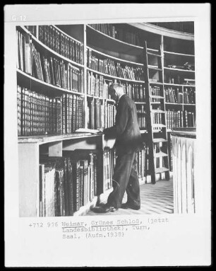 Grünes Schloss & Landesbibliothek