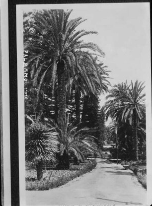 Giardino Inglese