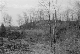 Schwedenschanze bei Kittlitz, Abschnittswall, Slawische Gauburg mit frühdeutscher Nachbesiedlung. : Šwejdske hrodźišćo pola Ketlic.
