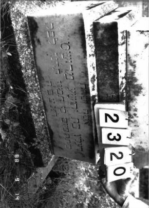 Grabstein 2320 (Index: 100097474) Maße HxBxT: 167x48x22 cm: Grabstein 2320 (Detailaufnahme 2)