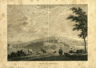 Meinau [= Mainau] im Bodensee