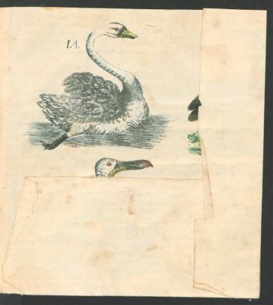 Tafel: [1. Der Schwan, 2. Der Albatros, ...]