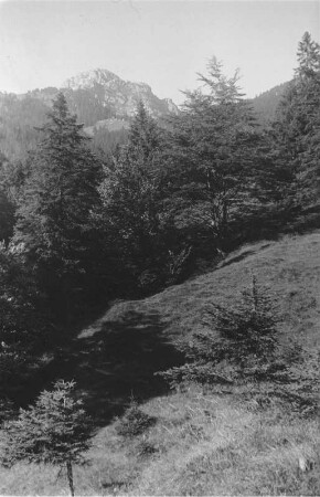 Wendelstein : Blick von Süden auf den Wendelstein (1838 m)