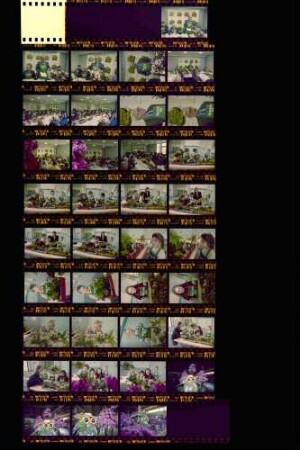 Garten '93 - 11. Fachausstellung für Garten- und Blumenfreunde, 20.-24.04.1993, Messe Stuttgart-Killesberg: Pressekonferenz