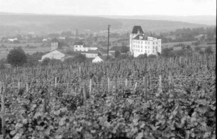 Nennig: Schloss Berg, jetzt Landschulheim