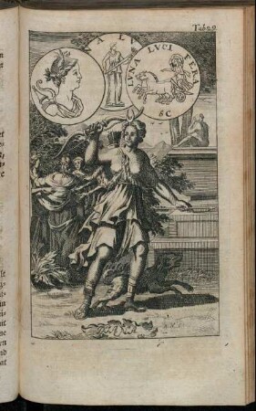 Tab. 29. Diana